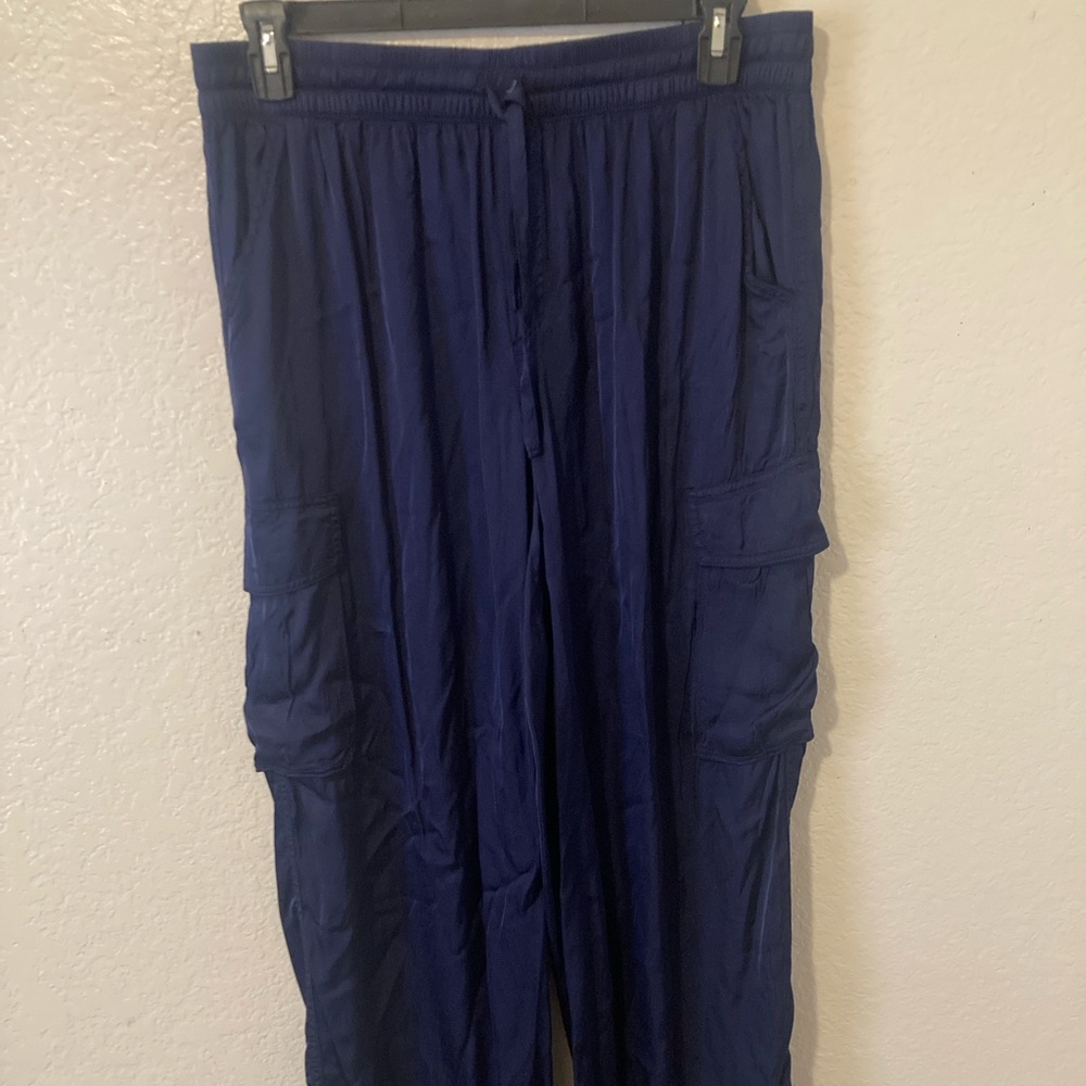 Aerie Navy Track pans cargo pocket